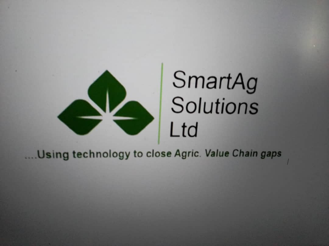 Kenneth Osanebi, Smartag Solutions Limited